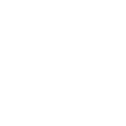 Technical Support Services